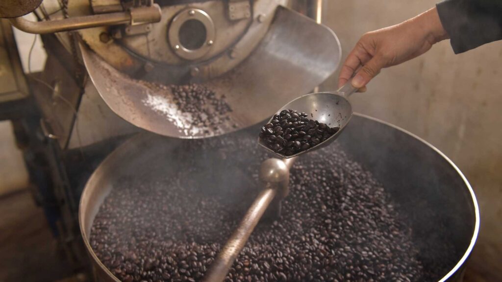 After harvesting and processing, roasting is the final step.