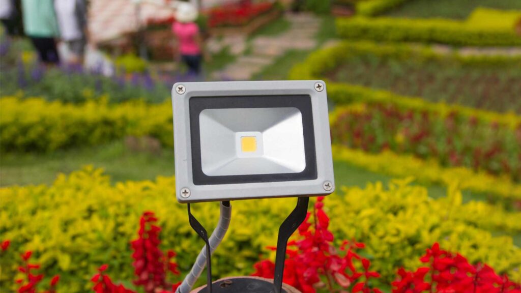 Using motion sensors is another way to keep deer away.
