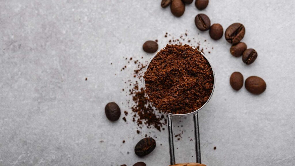 Use coffee grounds as cat repellent as they dislike it.