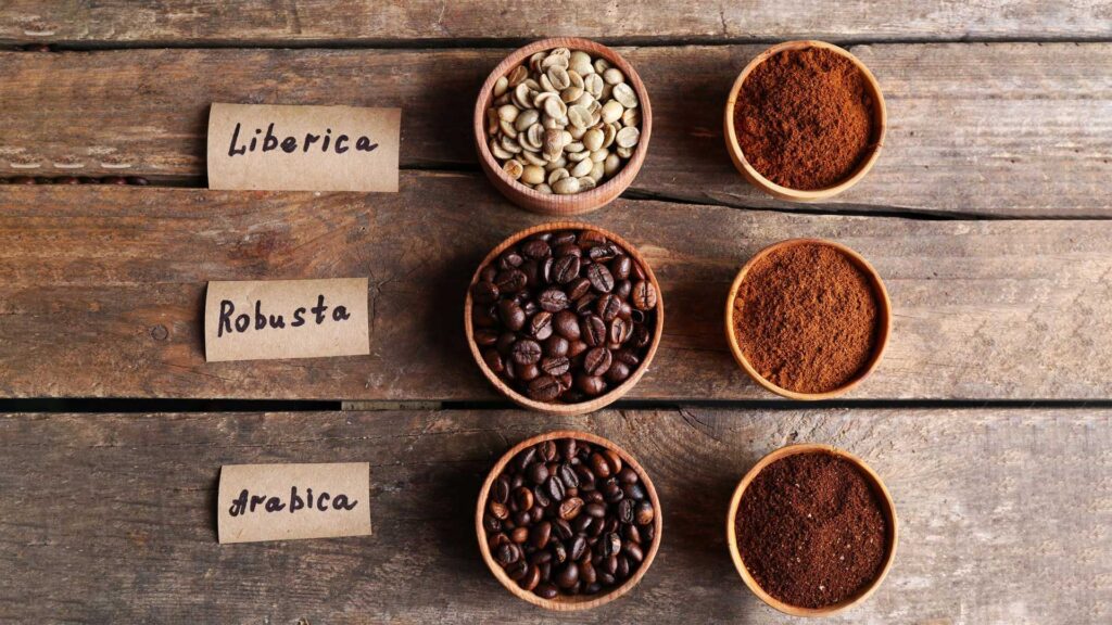 Types of coffee beans that can make you get used to black coffee.