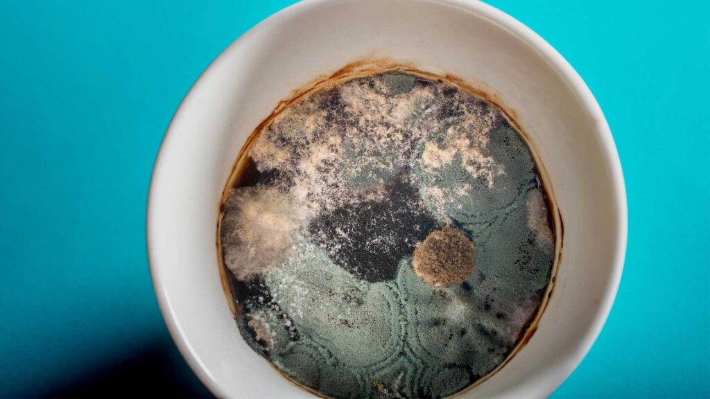 Consuming spoiled coffee.