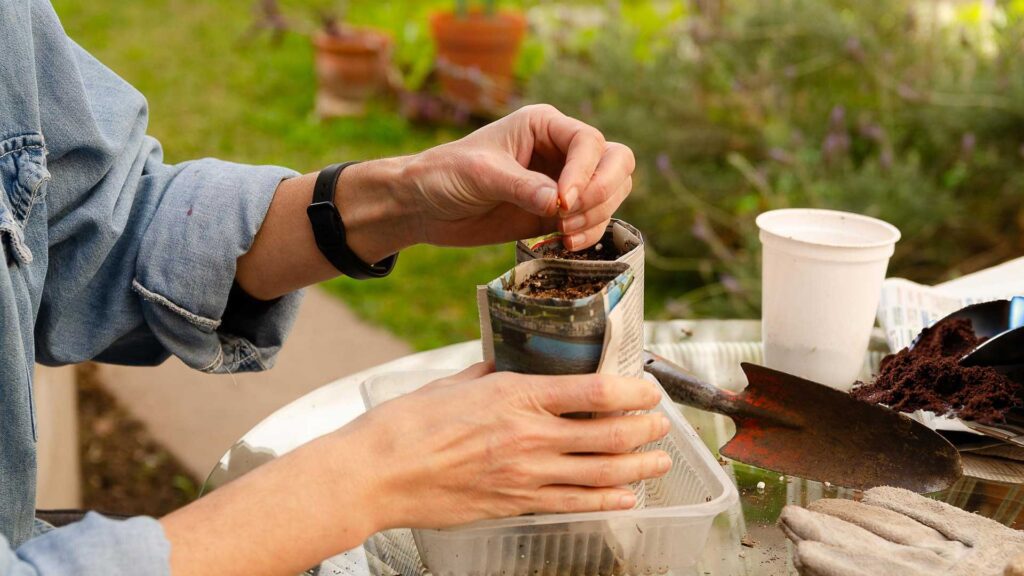 Put coffee grounds into the soil to keep cats away from your garden.