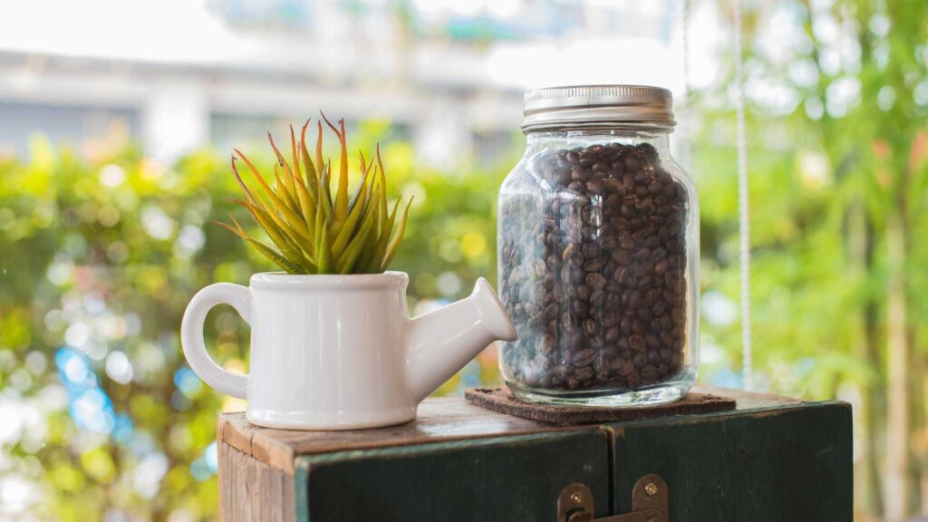 Use your expired coffee beans as home decor in a jar.